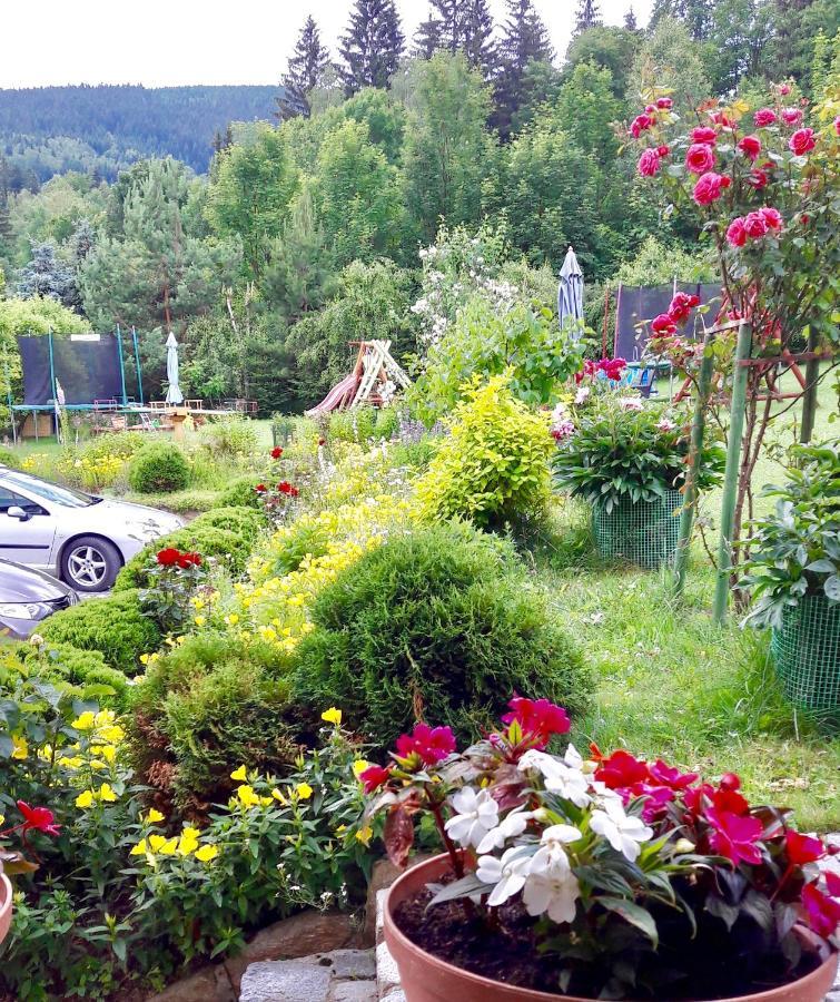 Apartamenty Dom Na Wzgorzu Gardenia Stronie Śląskie Exterior foto